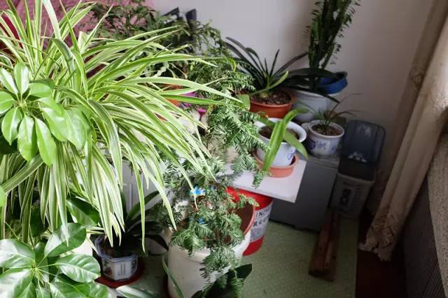 yh1122银河国际(中国)股份有限公司 - Ultra Platform